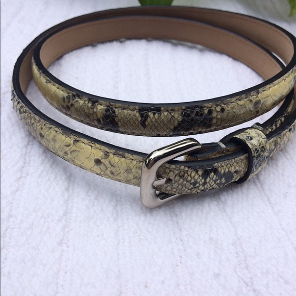 Ann Taylor snake skin embossed beige and black 1/2" belt silver hardware Small - Picture 2 of 4